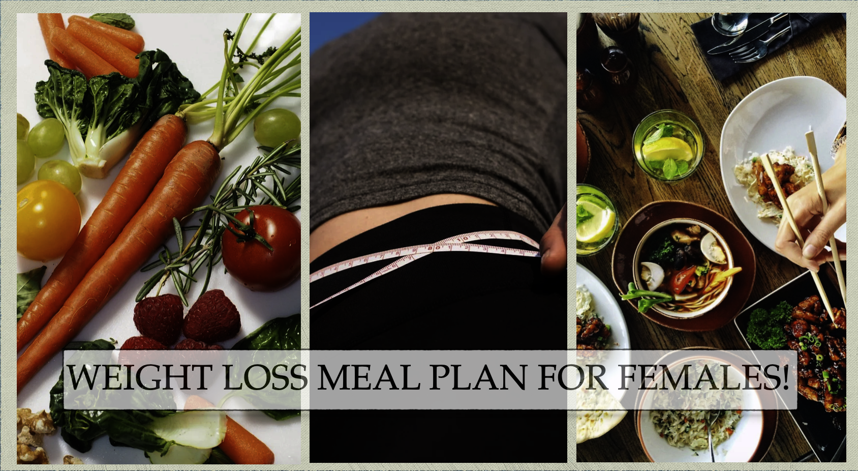 Fat Loss Diet Plan For Females